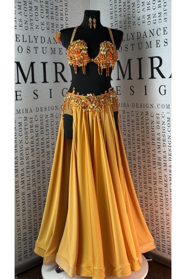 Professional bellydance costume (Classic 462A_1а--available )